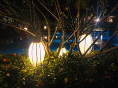 -西双版纳融创皇冠假日度假酒店