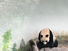 -红山森林动物园