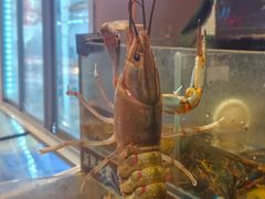 -熊记虾王·小龙虾(东晓南店)