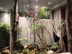 -森SPA·泰式按摩·精油Massage(宝安中心店)