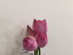 -龙抄手(文殊坊店)