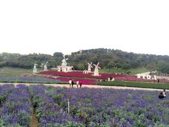 -松山湖梦幻百花洲