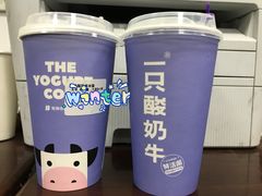 -一只酸奶牛(益州国际店)