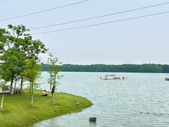 -上海海湾国家森林公园