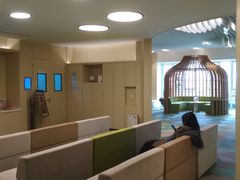 -黑马眼科·近视手术