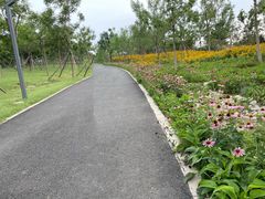 -永定河休闲森林公园