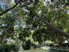 -成都市活水公园