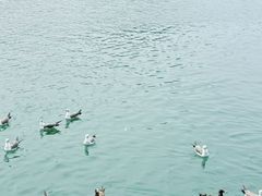 -海驴岛(荣成市)