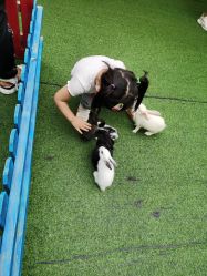 -萌宠亲子动物乐园(槐房万达店)