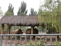 -石家庄市动物园