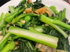猪油渣菜心-美极鲜食坊(宝安南路店)