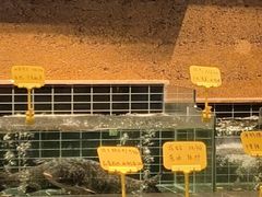 -穿越·外婆家(西溪天堂店)