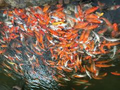 -厦门日月谷温泉渡假村