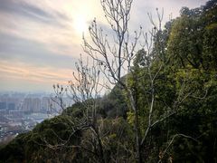 -杭州半山国家森林公园