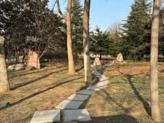 -洛阳市隋唐城遗址植物园