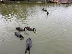 -无锡动物园·太湖欢乐园