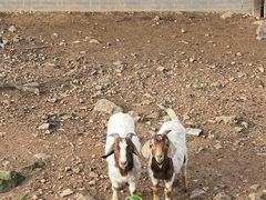 -无锡动物园·太湖欢乐园