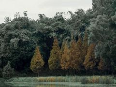 -福建鲤鱼洲酒店