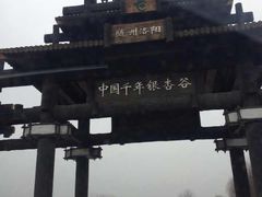 -千年银杏谷文化旅游区