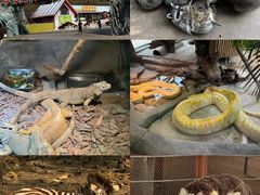 -大连森林动物园