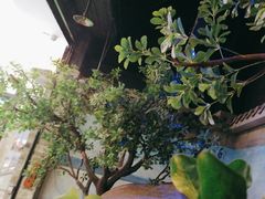 -绿茶餐厅(昆明世纪金源店)