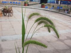 -苏州海洋馆