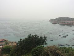 -枸杞岛