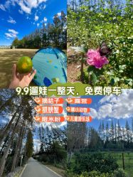 -前小桔亲子创意农场·草莓采摘·露营烧烤