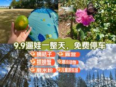 -前小桔亲子创意农场·草莓采摘·露营烧烤