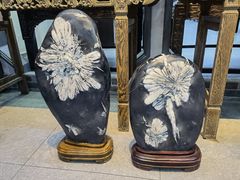-游龙石文化科普馆