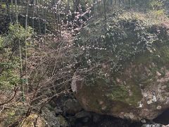 -山沟沟景区