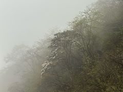-九峰山
