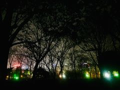 -暨阳湖生态园
