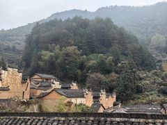 -杨家堂村
