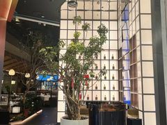 -桂满陇·海市蜃楼·黑金(国金店)