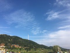 -长岛万鸟岛