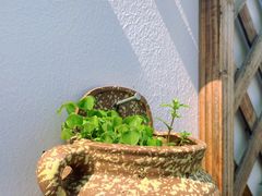 -东梓关景区村庄