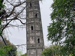 -上海佘山国家森林公园天马山园