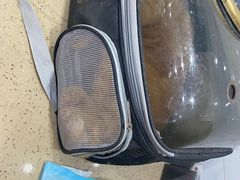 -伟伟宠物医院·CT影像中心·瑞派犬猫综合性门诊(汉口总院)