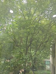 -悟空祛痘·诺奖技术专业店