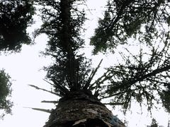 -硗碛藏寨·神木垒景区