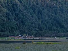 -腾冲北海湿地
