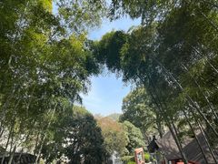 -上海佘山国家森林公园西佘山园