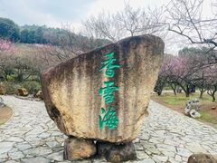 -香雪海
