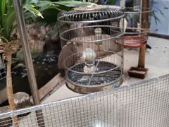 -新世纪绿洲(抚顺店)