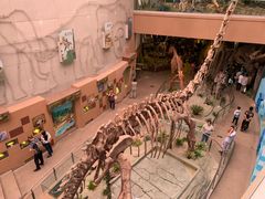 -陕西自然博物馆