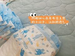 -爱的果实月嫂育婴师(世纪东方店)