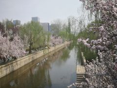 -元大都城垣遗址公园