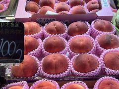 -油麻地果栏