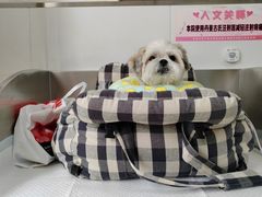 -派美特宠物医院·核磁CT·骨科肿瘤·疑难转诊(沈农禾丰店)